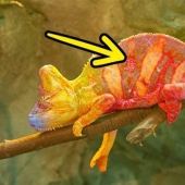 9 shocking facts that will turn your world upside down