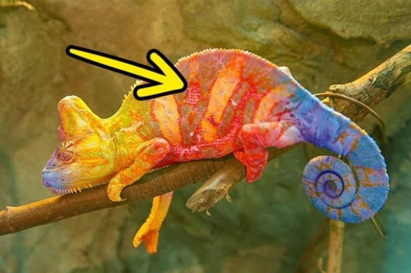 9 shocking facts that will turn your world upside down