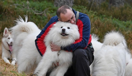 9 things that make your dog secretly hate you