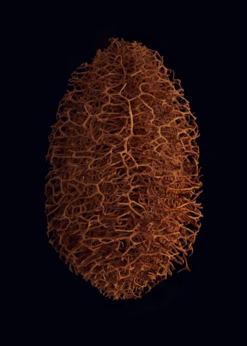 A 19-year-old American woman married a 61-year-old man and claims to be happy