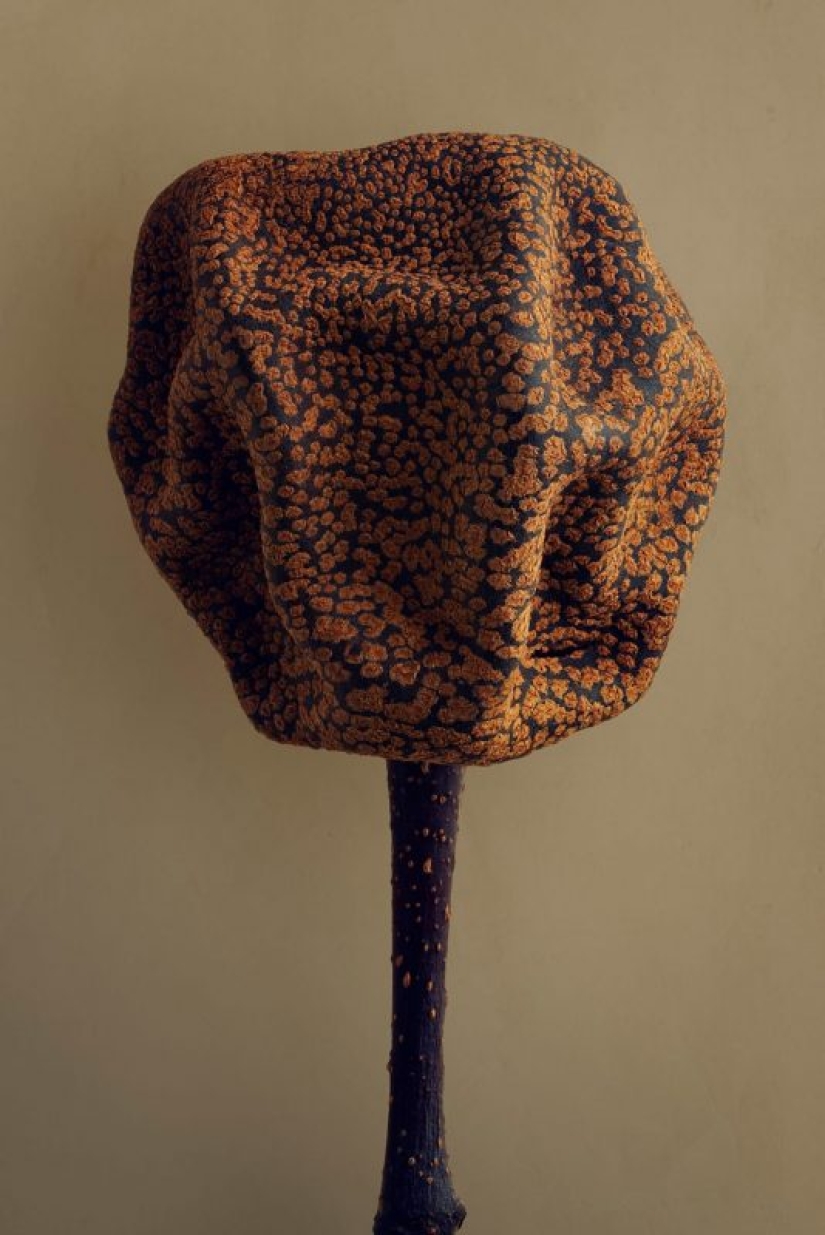 A 19-year-old American woman married a 61-year-old man and claims to be happy