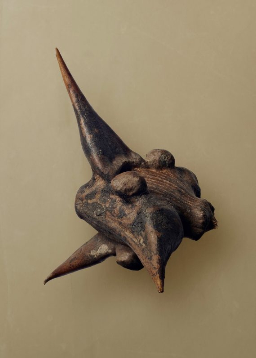 A 19-year-old American woman married a 61-year-old man and claims to be happy