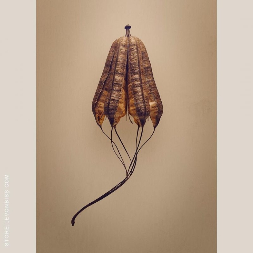 A 19-year-old American woman married a 61-year-old man and claims to be happy