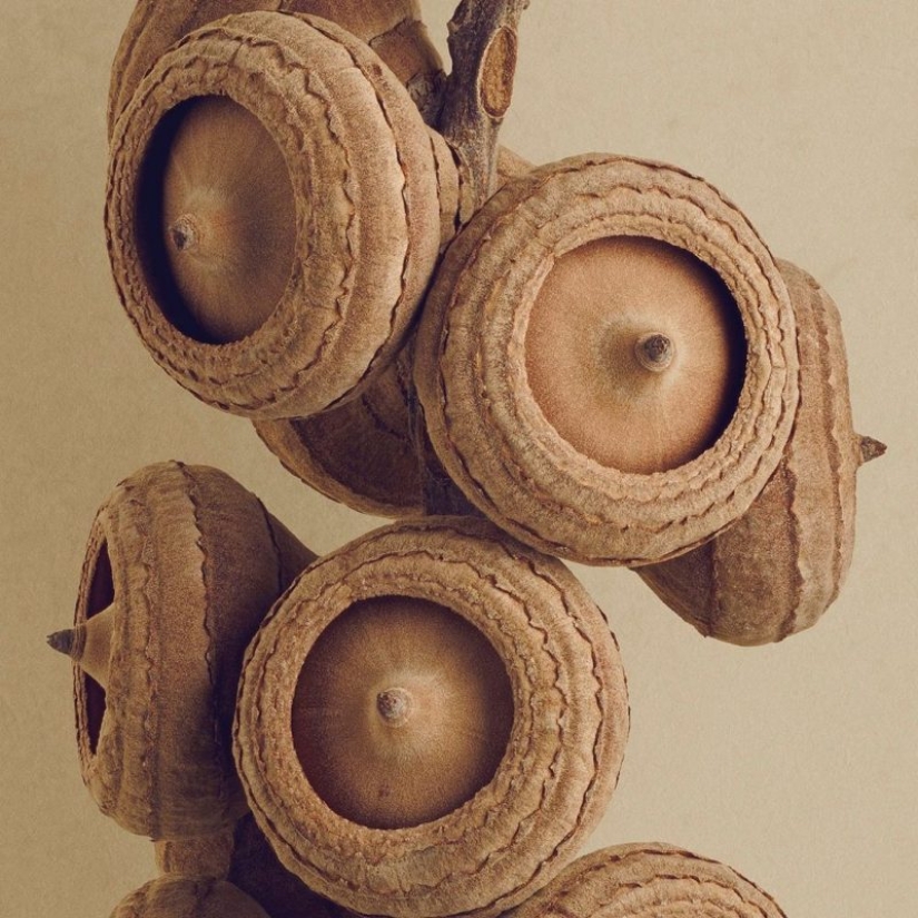 A 19-year-old American woman married a 61-year-old man and claims to be happy