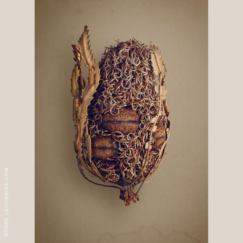 A 19-year-old American woman married a 61-year-old man and claims to be happy