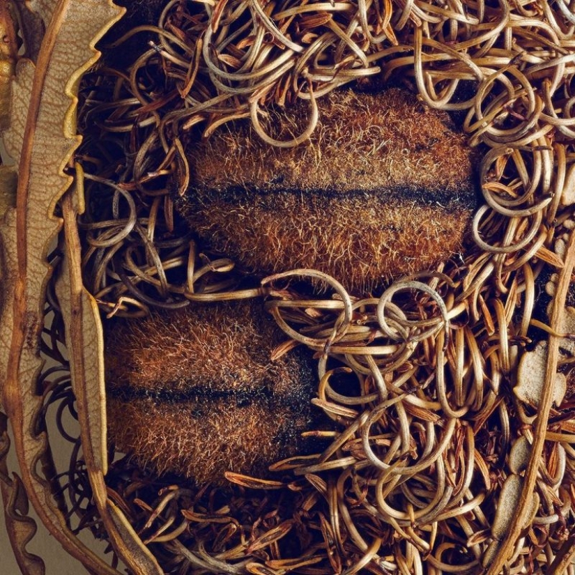 A 19-year-old American woman married a 61-year-old man and claims to be happy