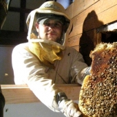 A couple from the USA bought a house in the village, and it turned out to be a giant beehive