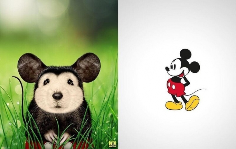 A digital artist from Italy showed how cartoon animals would look in reality