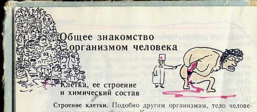 A funny painted biology textbook will take you back to the 9th grade