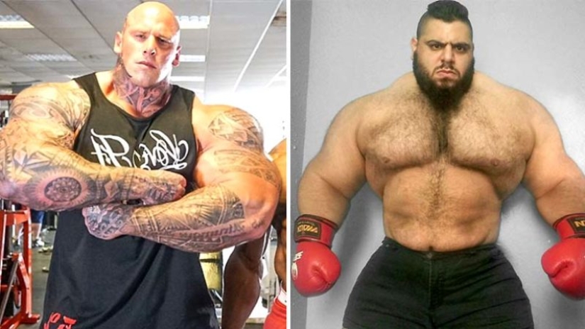 A man the size of a train: The "Iranian Hulk" shares details of his life and is going to MMA A man the size of a train: The "Iranian Hulk" shares details of his life and is going to MMA