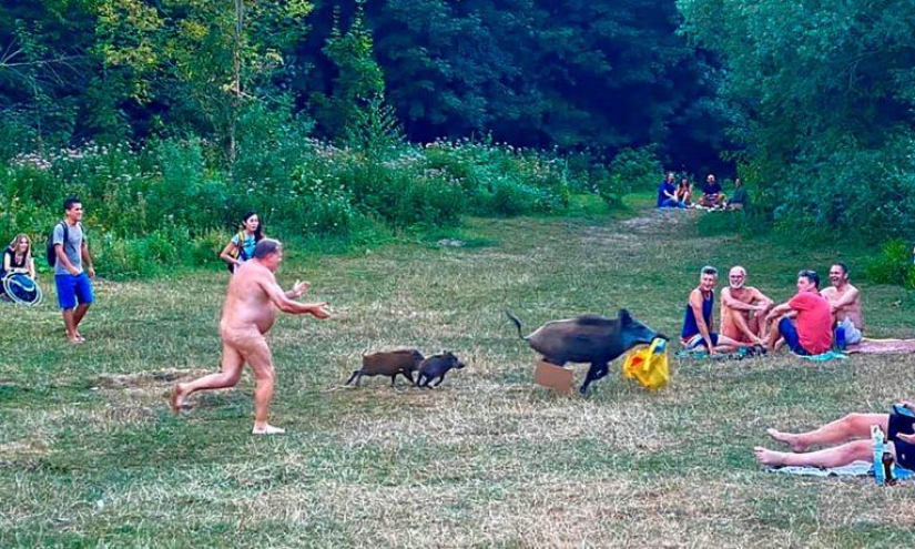 A naked German chased a wild boar and got into the photo. Now it is also a set of toys A naked German chased a wild boar and got into the photo. Now it is also a set of toys
