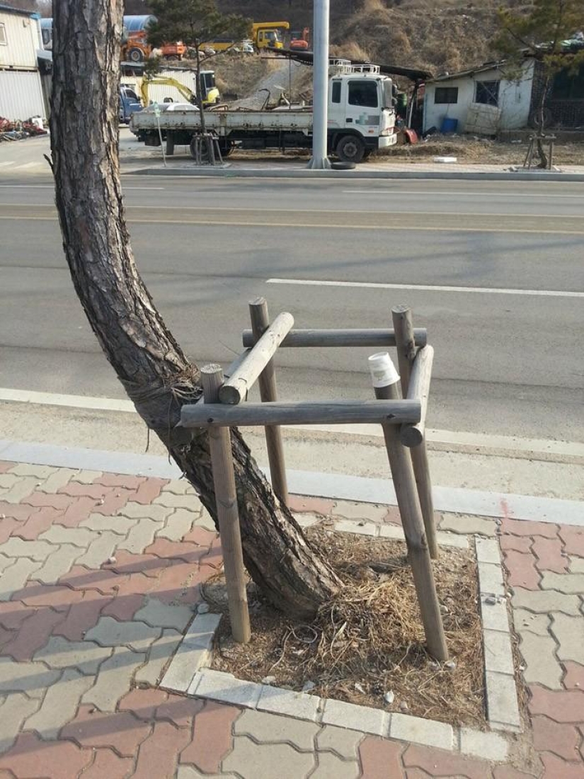 A post for those who have broken stupid rules at least once in their life