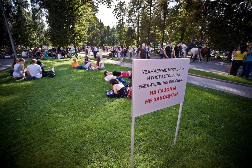 A post for those who have broken stupid rules at least once in their life