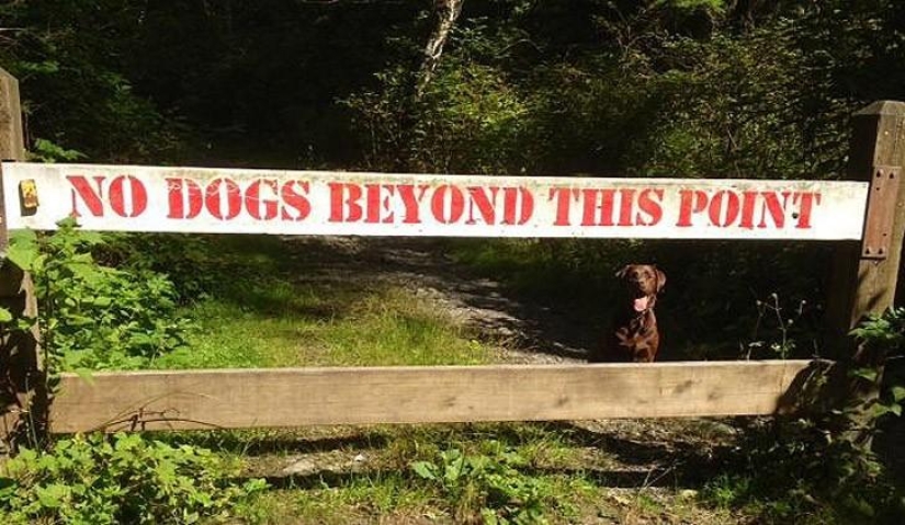 A post for those who have broken stupid rules at least once in their life