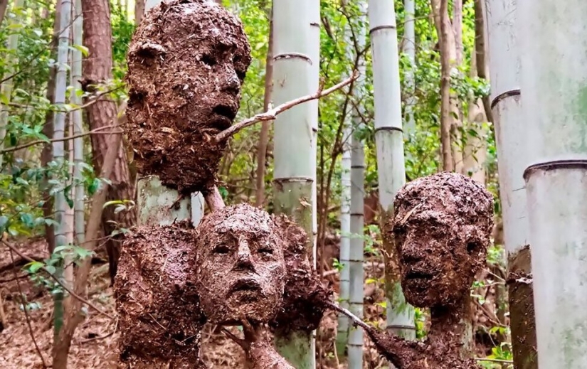 A student from Japan has created a creepy, but beautiful Forest of Despair A student from Japan has created a creepy, but beautiful Forest of Despair