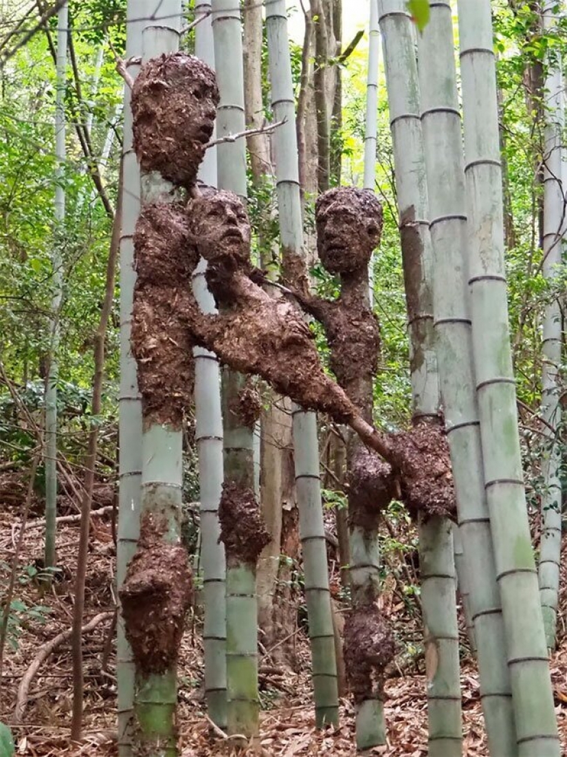 A student from Japan has created a creepy, but beautiful Forest of Despair A student from Japan has created a creepy, but beautiful Forest of Despair