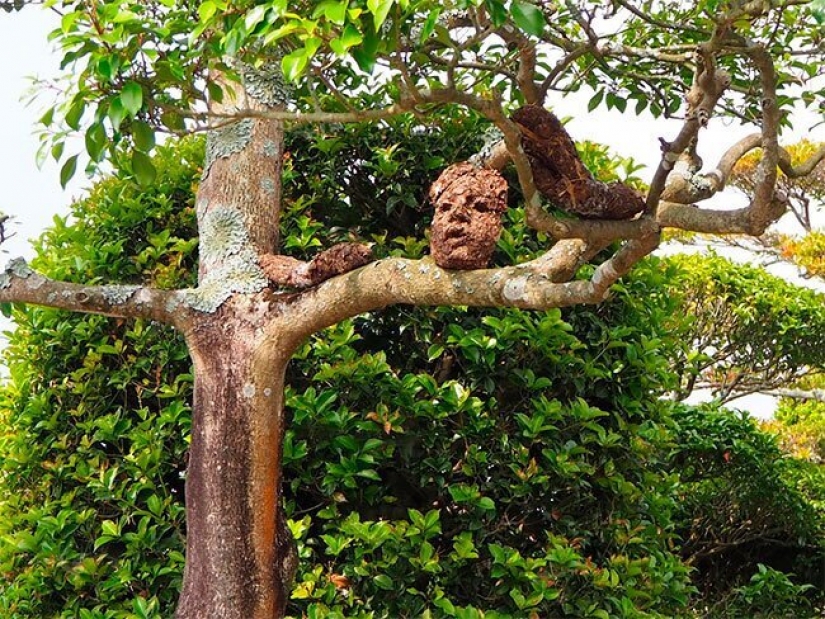 A student from Japan has created a creepy, but beautiful Forest of Despair A student from Japan has created a creepy, but beautiful Forest of Despair