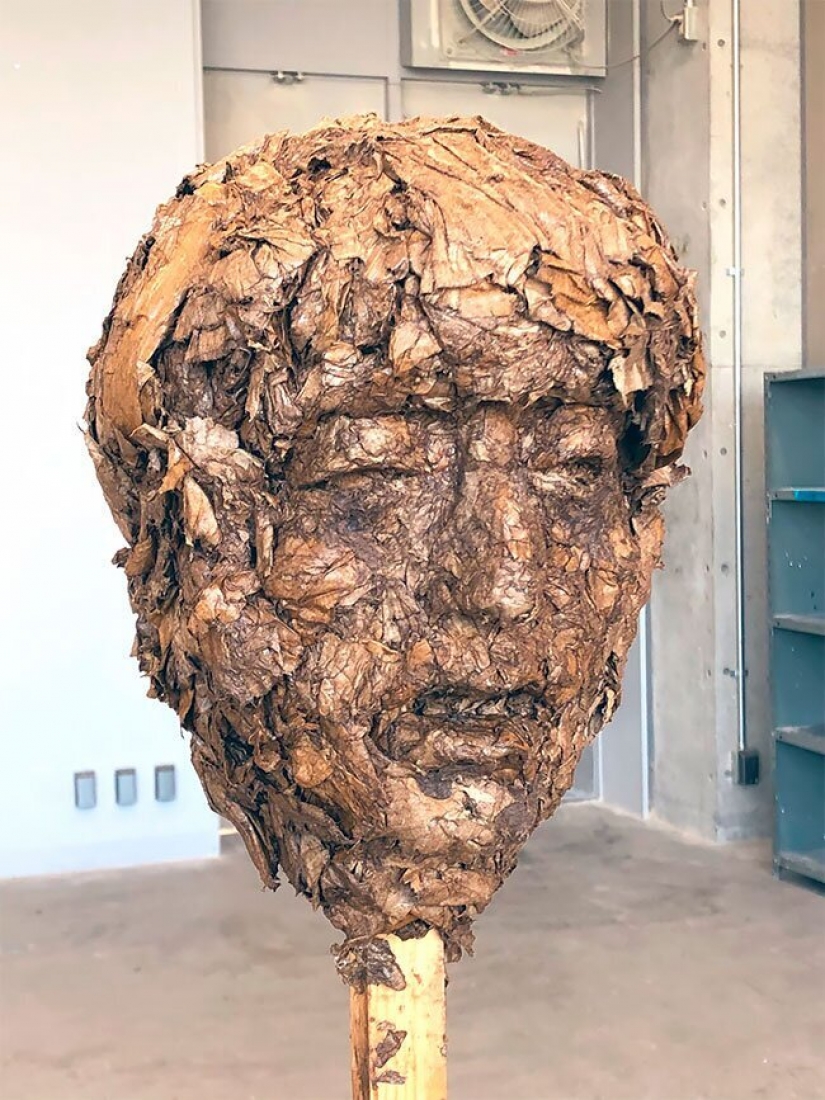 A student from Japan has created a creepy, but beautiful Forest of Despair A student from Japan has created a creepy, but beautiful Forest of Despair