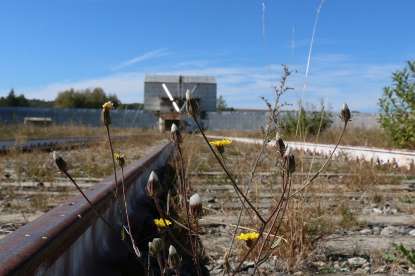 A través de las vacas a las estrellas: cómo vive la astrofísica caucásica