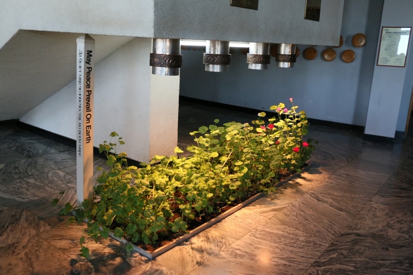 A través de las vacas a las estrellas: cómo vive la astrofísica caucásica