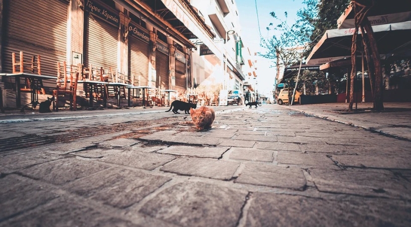 A world without us: 14 deserted travel locations that are usually attacked by crowds