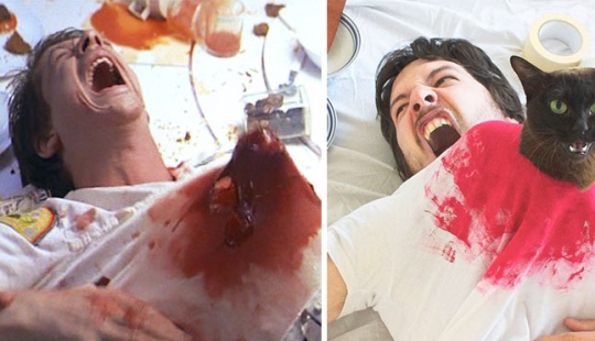 A young couple parodies iconic scenes from movies together with cats A young couple parodies iconic scenes from movies together with cats