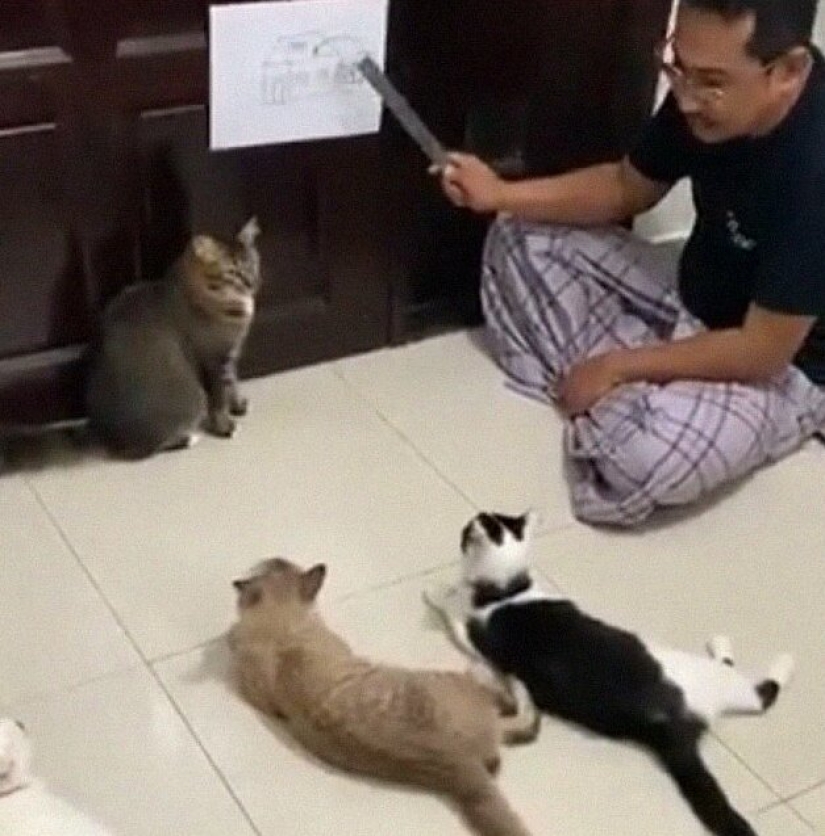 Aburrido de cuarentena: 25 únicas maneras de divertirse en el aislamiento