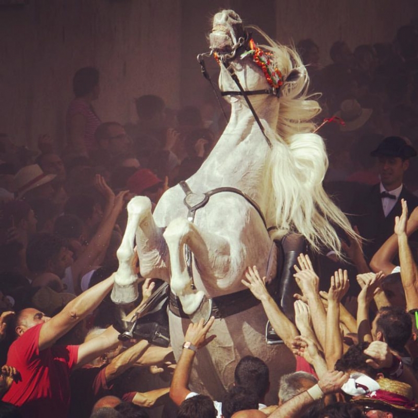 Accidental del Renacimiento: un enfoque moderno de los clásicos inmortales