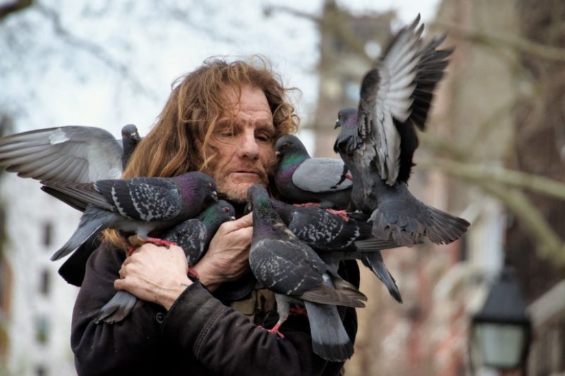 Accidental del Renacimiento: un enfoque moderno de los clásicos inmortales