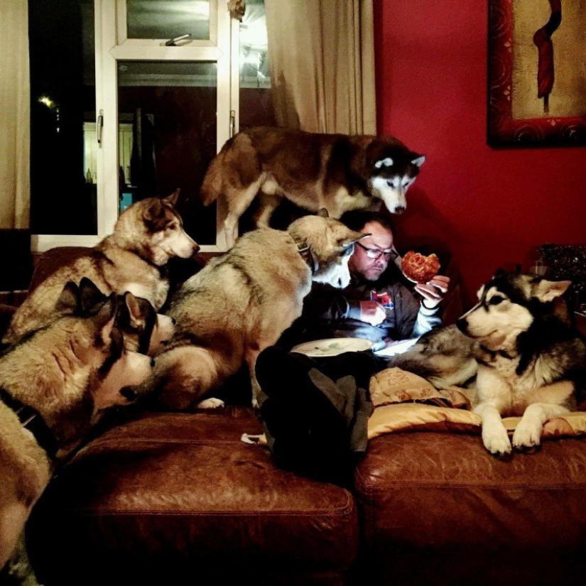 Accidental Renaissance: a modern approach to the immortal classics Accidental Renaissance: a modern approach to the immortal classics