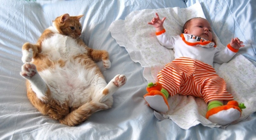 Adorable photos proving that your child needs a cat
