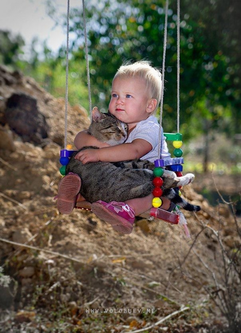 Adorable photos proving that your child needs a cat