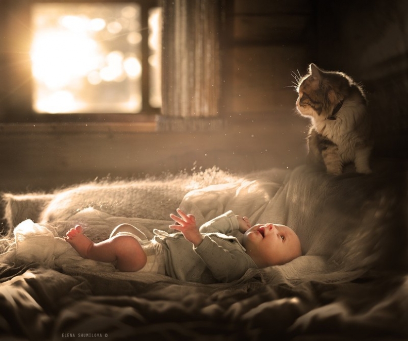 Adorable photos proving that your child needs a cat
