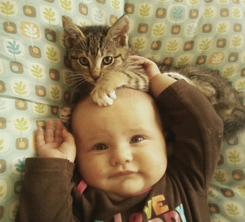 Adorable photos proving that your child needs a cat