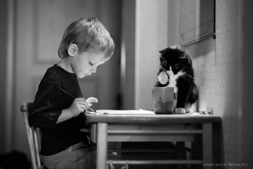 Adorable photos proving that your child needs a cat