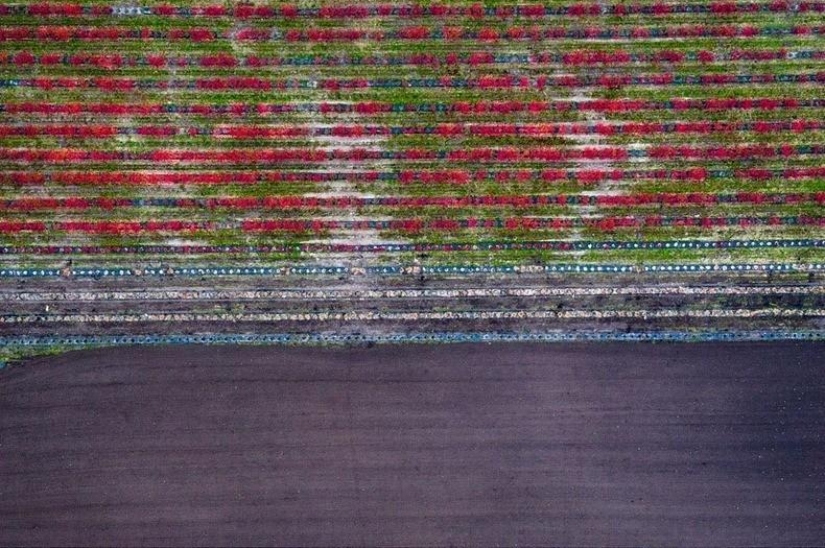 Aerial photographs by Kasper Kowalski