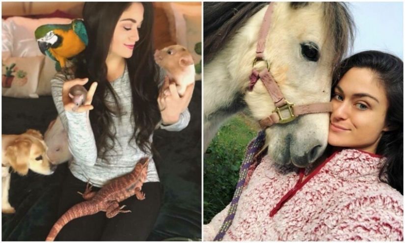 Ahorra vacas, llamas y serpientes: American había arreglado un refugio para 200 animales Ahorra vacas, llamas y serpientes: American había arreglado un refugio para 200 animales