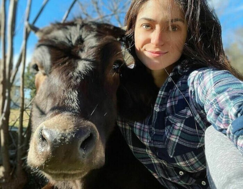 Ahorra vacas, llamas y serpientes: American había arreglado un refugio para 200 animales Ahorra vacas, llamas y serpientes: American había arreglado un refugio para 200 animales