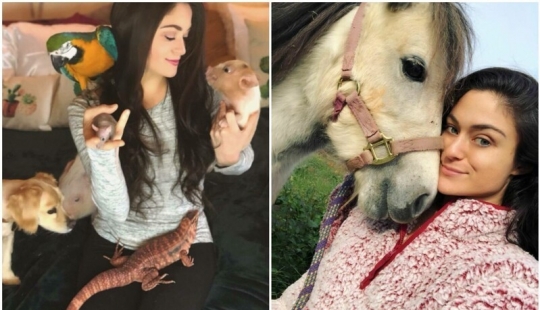 Ahorra vacas, llamas y serpientes: American había arreglado un refugio para 200 animales Ahorra vacas, llamas y serpientes: American había arreglado un refugio para 200 animales