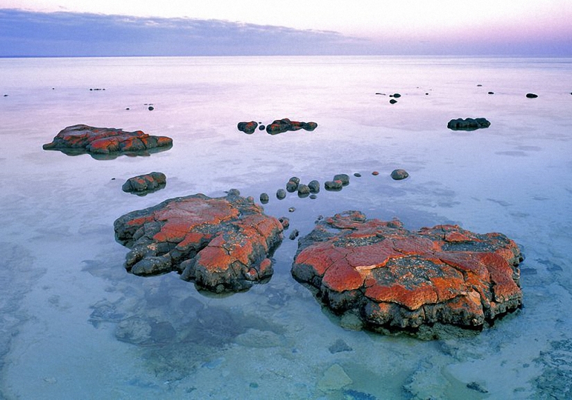 Alien landscapes on Earth Alien landscapes on Earth