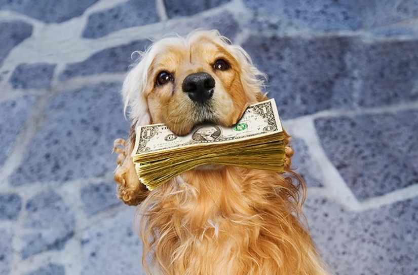 All the inheritance down the drain: the strangest items from the wills stars All the inheritance down the drain: the strangest items from the wills stars