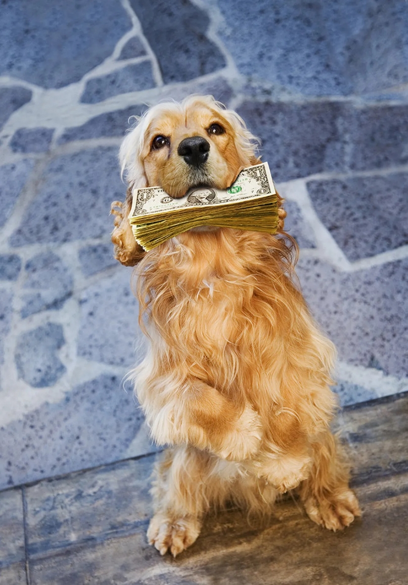 All the inheritance down the drain: the strangest items from the wills stars All the inheritance down the drain: the strangest items from the wills stars