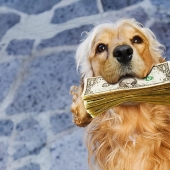 All the inheritance down the drain: the strangest items from the wills stars