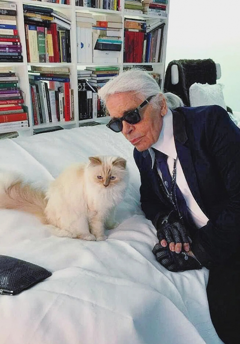 All the inheritance down the drain: the strangest items from the wills stars All the inheritance down the drain: the strangest items from the wills stars