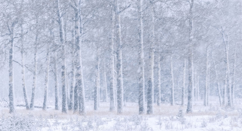 Amazing nature landscapes: 20 photos that remind us how beautiful our planet is Amazing nature landscapes: 20 photos that remind us how beautiful our planet is