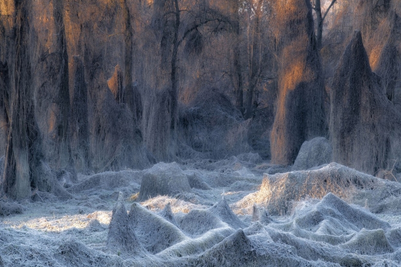 Amazing nature landscapes: 20 photos that remind us how beautiful our planet is Amazing nature landscapes: 20 photos that remind us how beautiful our planet is