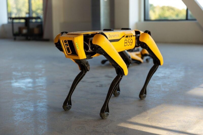 American blogger has taught a robot dog to write the beer into a glass