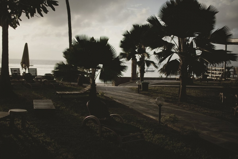 "¡Amor! ¡No está aquí!": Turismo sexual femenino en Kenia "¡Amor! ¡No está aquí!": Turismo sexual femenino en Kenia