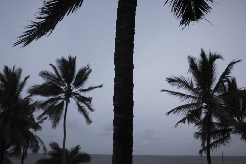 "¡Amor! ¡No está aquí!": Turismo sexual femenino en Kenia "¡Amor! ¡No está aquí!": Turismo sexual femenino en Kenia