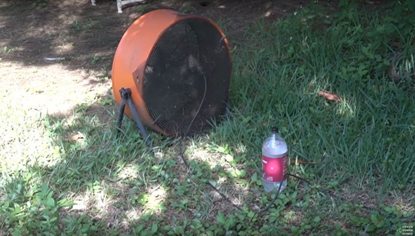 An American kills 4 thousand mosquitoes every night, using his dog as bait